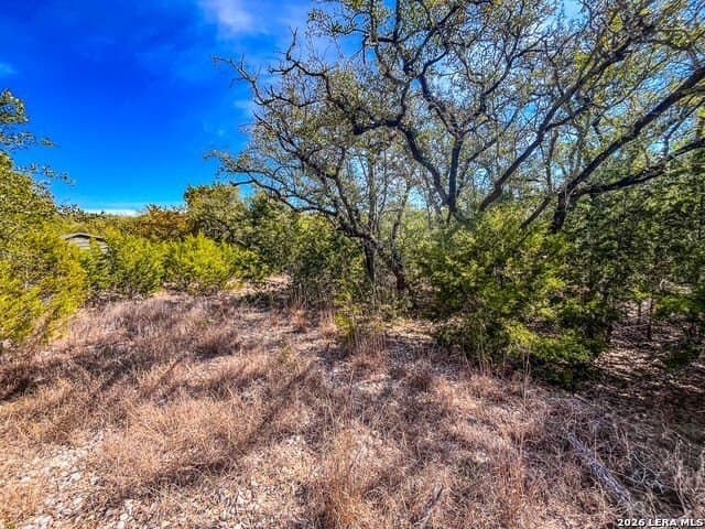 0.56 acres in Comal County featured view