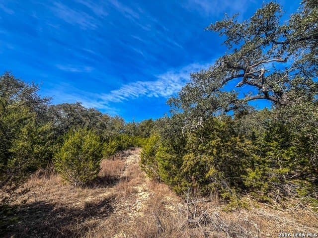 0.56 acres in Comal County gallery image 3
