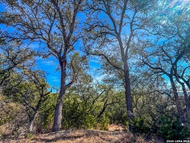 0.56 acres in Comal County gallery image 2