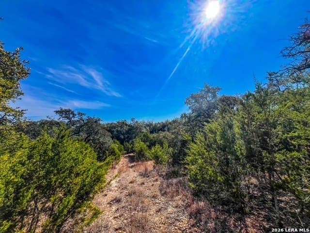 0.56 acres in Comal County gallery image 4