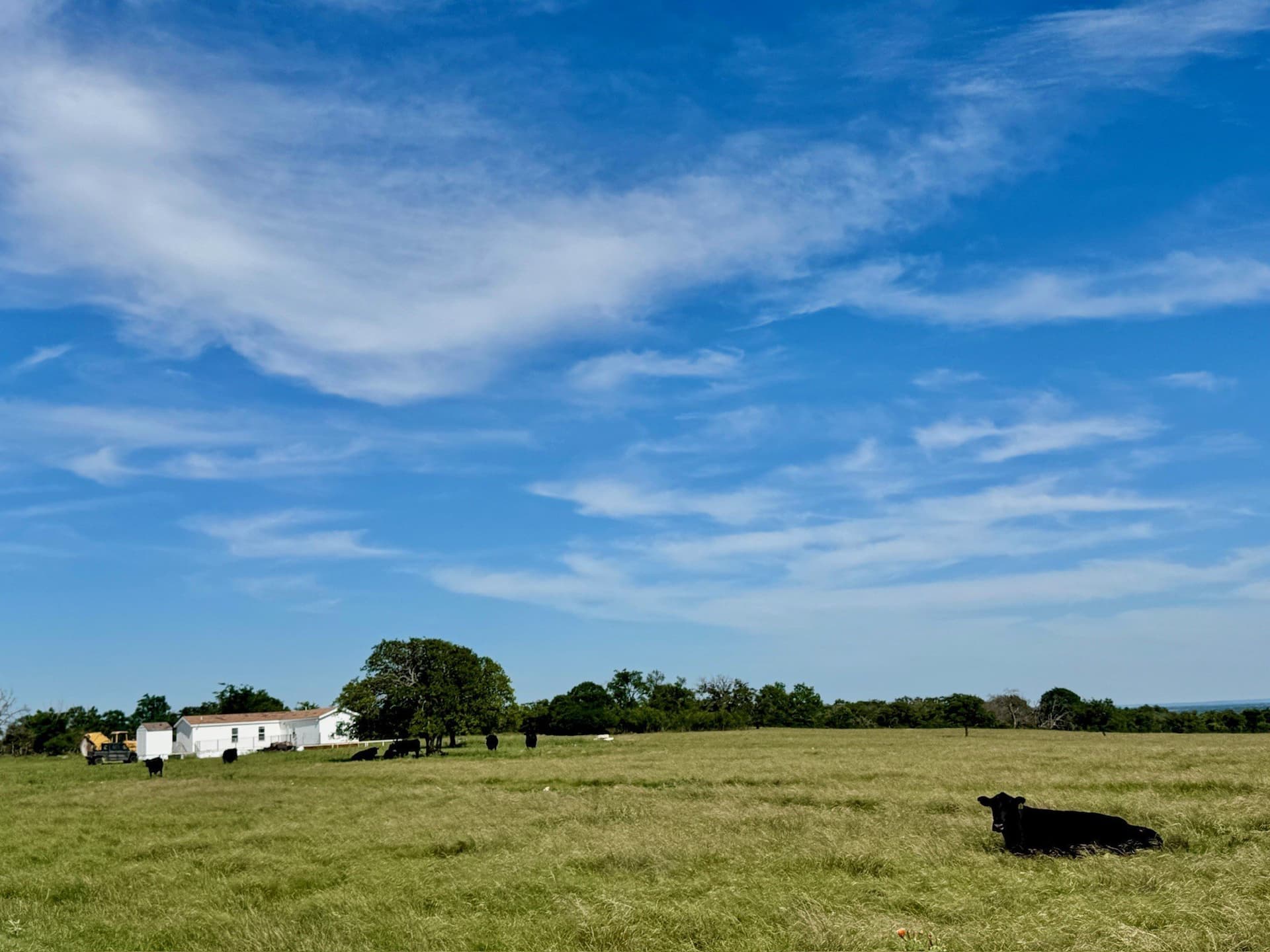 299.89 acres in Mills County - photo 31