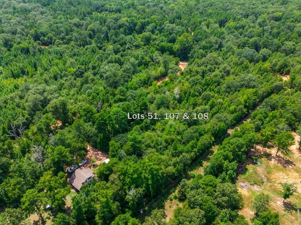 0.67 acres in Wood County - photo 6