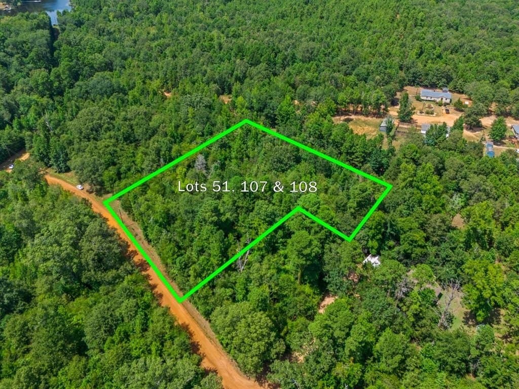 0.67 acres in Wood County - photo 8
