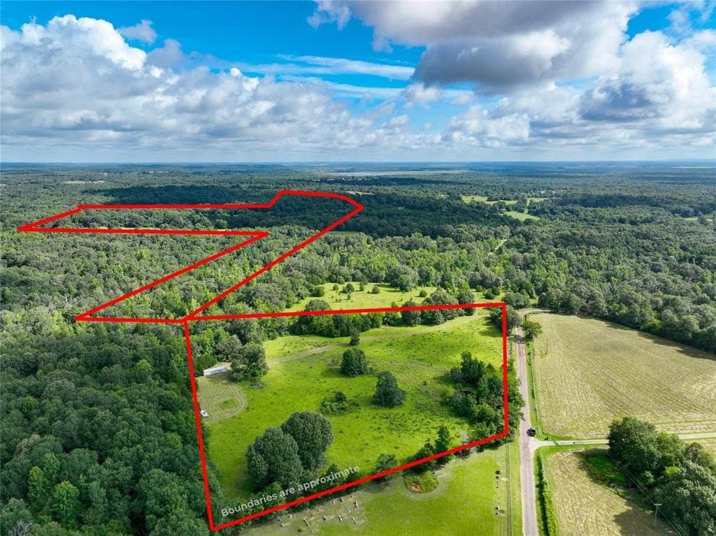 54.12 acres in Freestone County gallery image 4