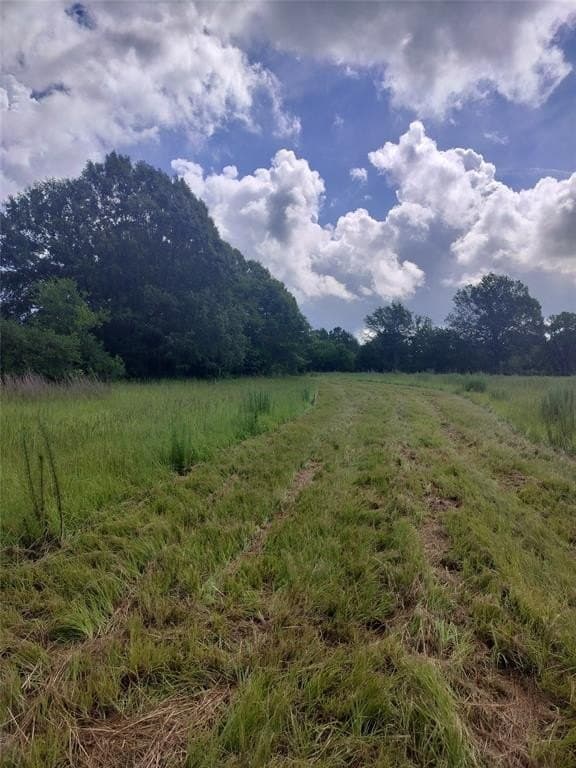 54.12 acres in Freestone County