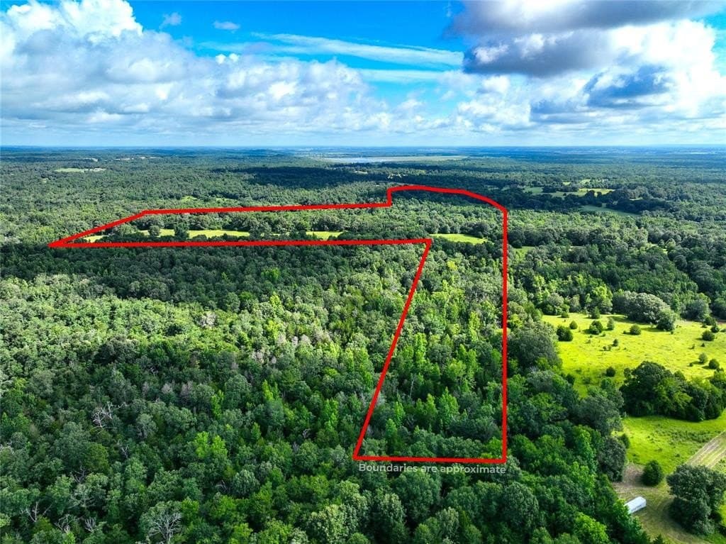 54.12 acres in Freestone County featured view