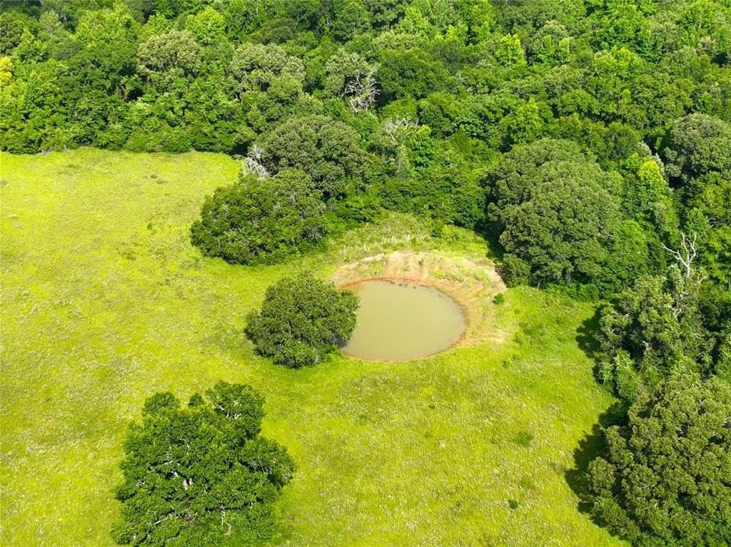 54.12 acres in Freestone County gallery image 2