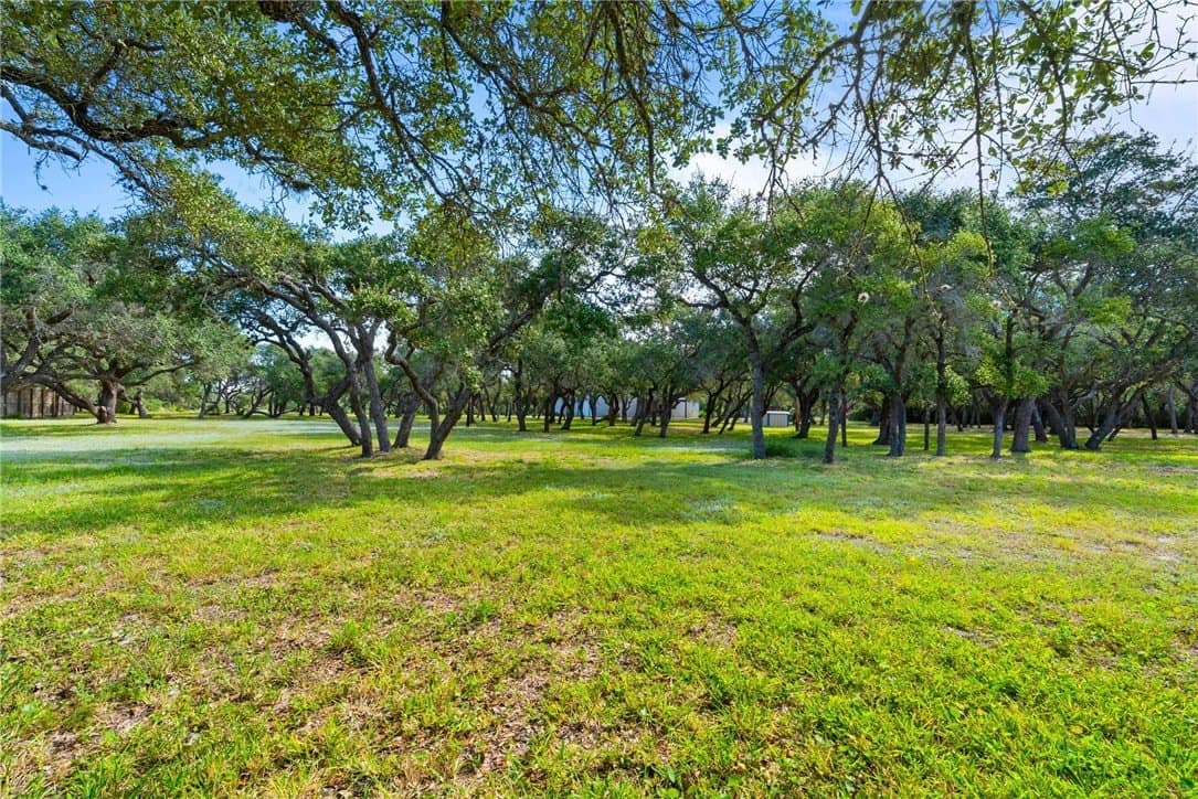 100,000 acres in Aransas County - photo 32