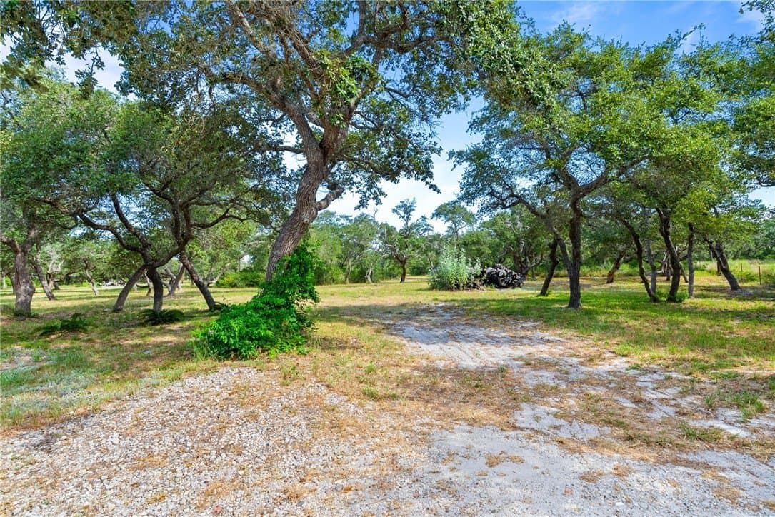 100,000 acres in Aransas County - photo 31