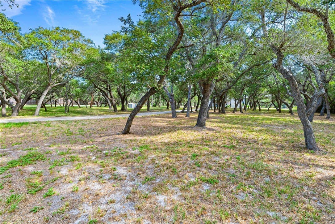100,000 acres in Aransas County - photo 30