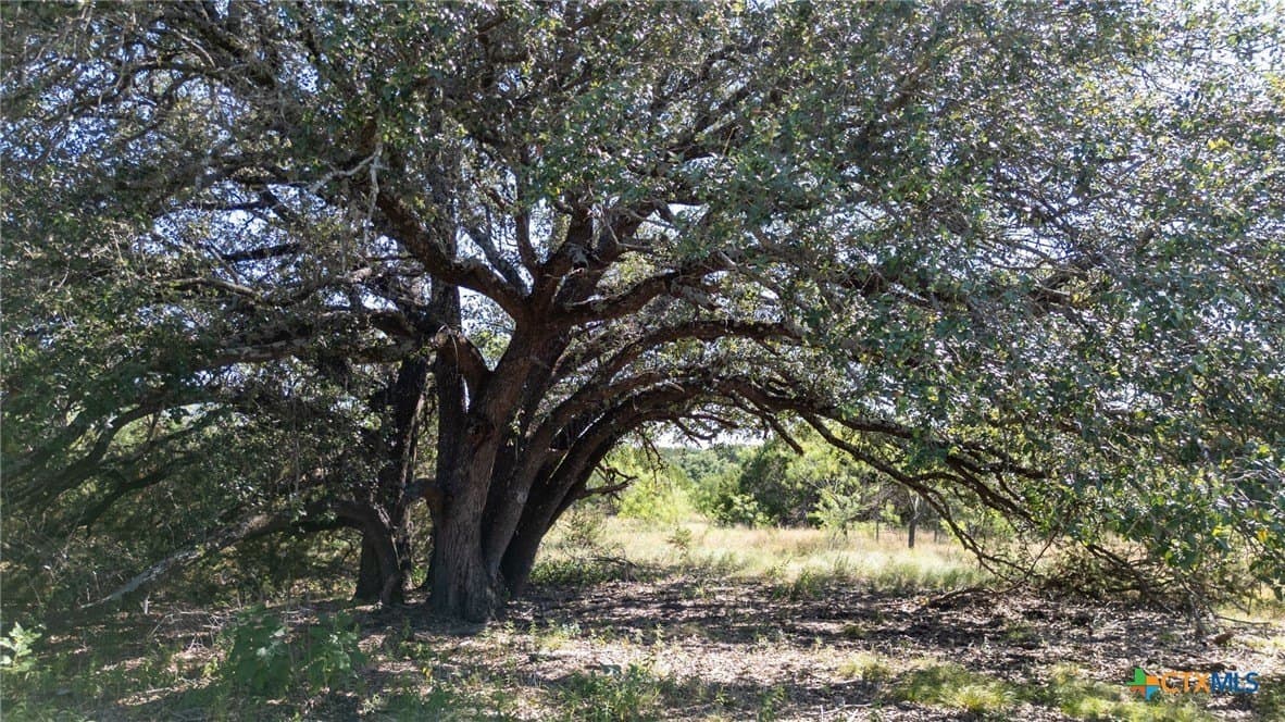 11.01 acres in Hamilton County gallery image 3