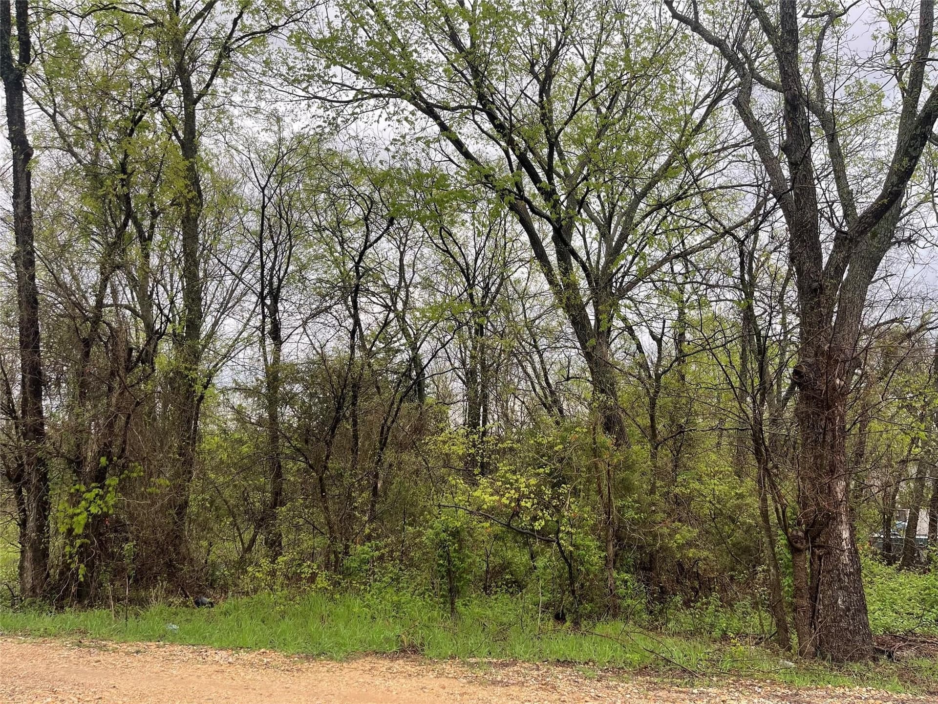 0.12 acres in Delta County gallery image 2
