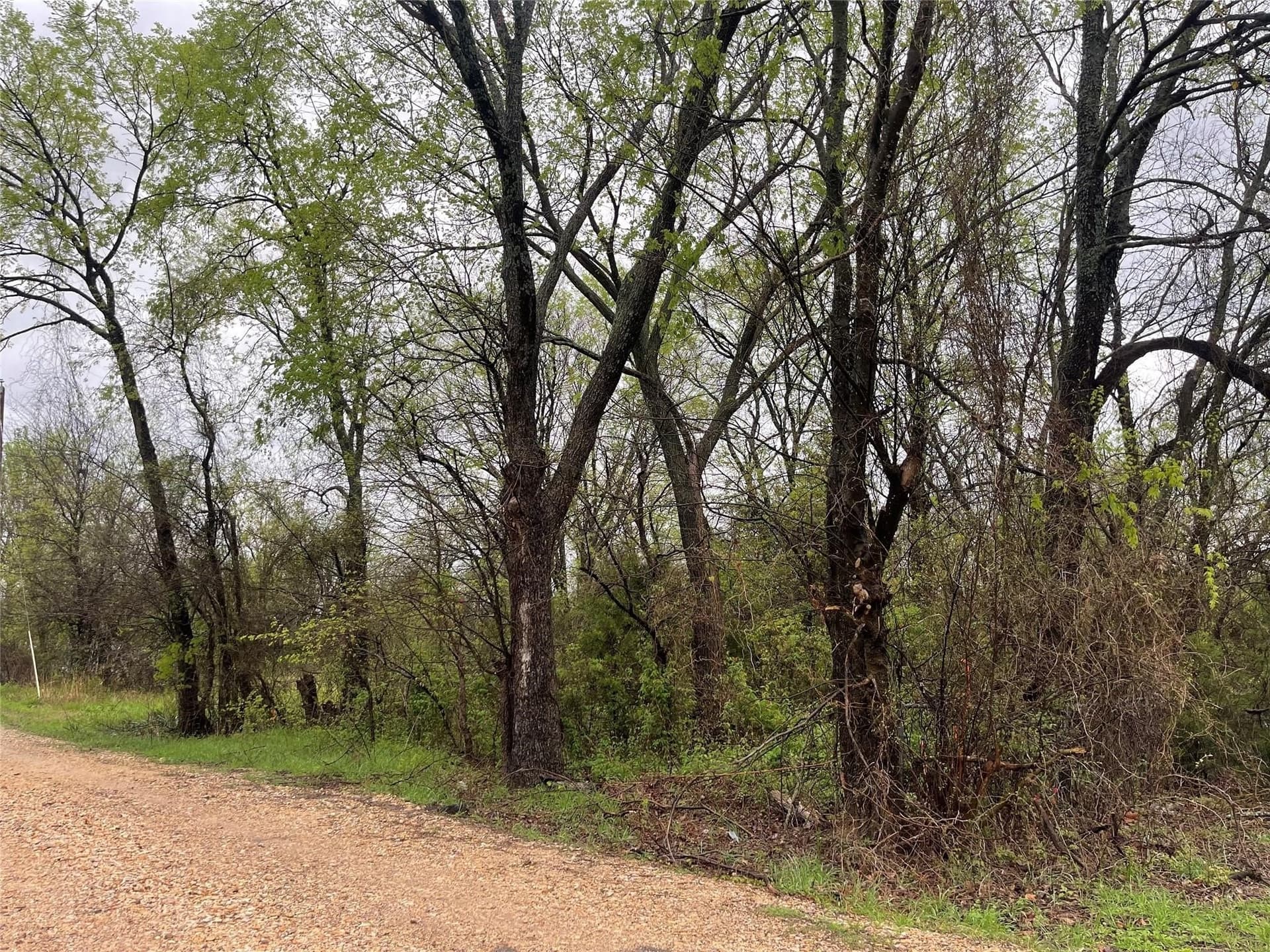 0.12 acres in Delta County gallery image 4