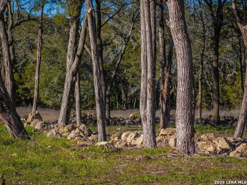 15 acres in Comal County - photo 4