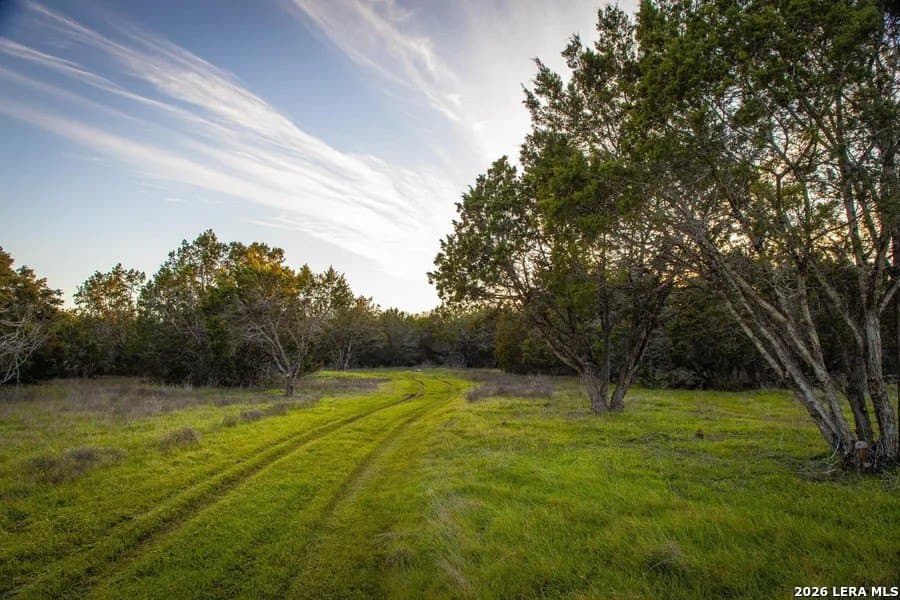 15 acres in Comal County - photo 10
