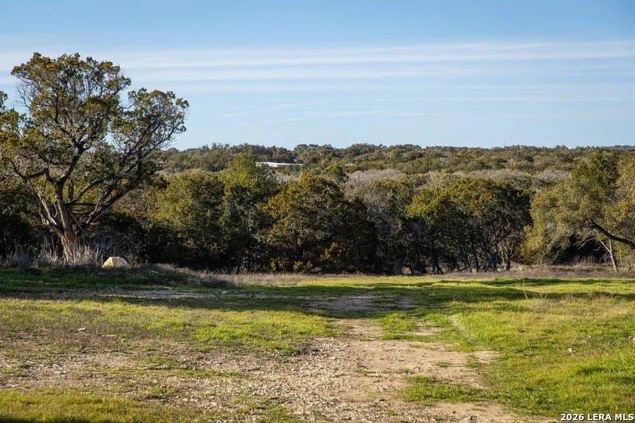 15 acres in Comal County - photo 8