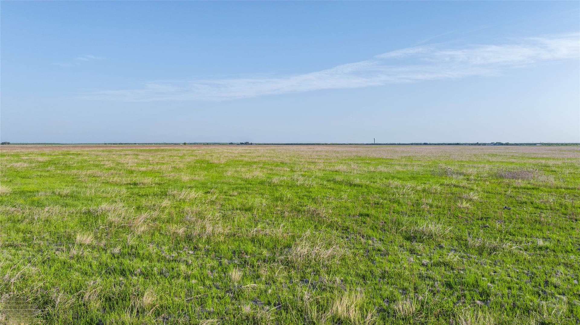 7 acres in Taylor County gallery image 2