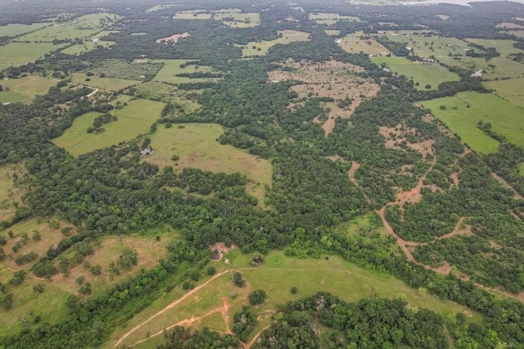 49.95 acres in Freestone County gallery image 4