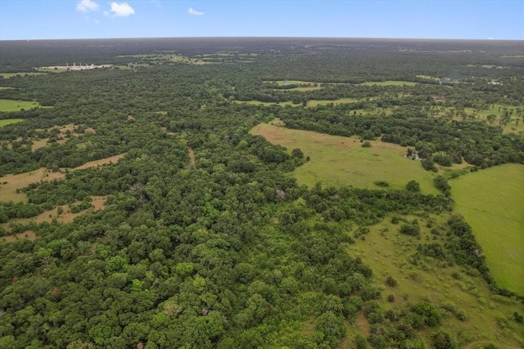 49.95 acres in Freestone County gallery image 3