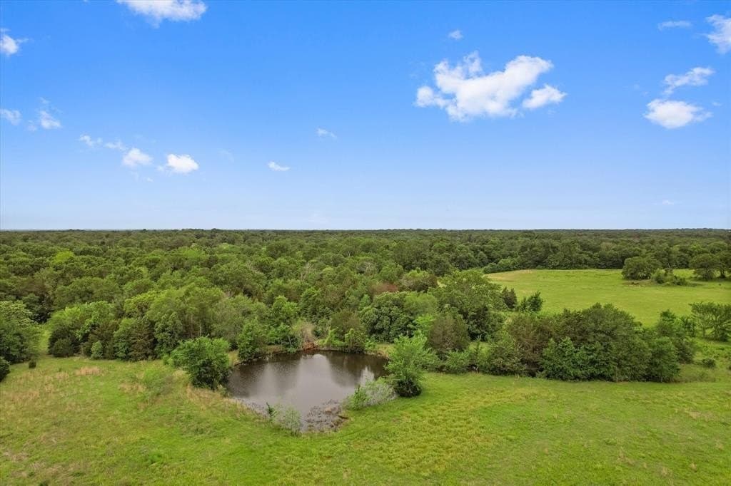 49.95 acres in Freestone County