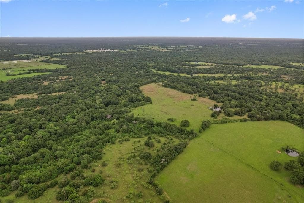 49.95 acres in Freestone County gallery image 2