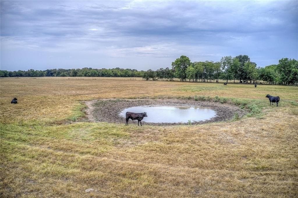 17.5 acres in Hunt County gallery image 4