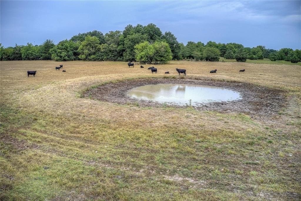17.5 acres in Hunt County gallery image 3