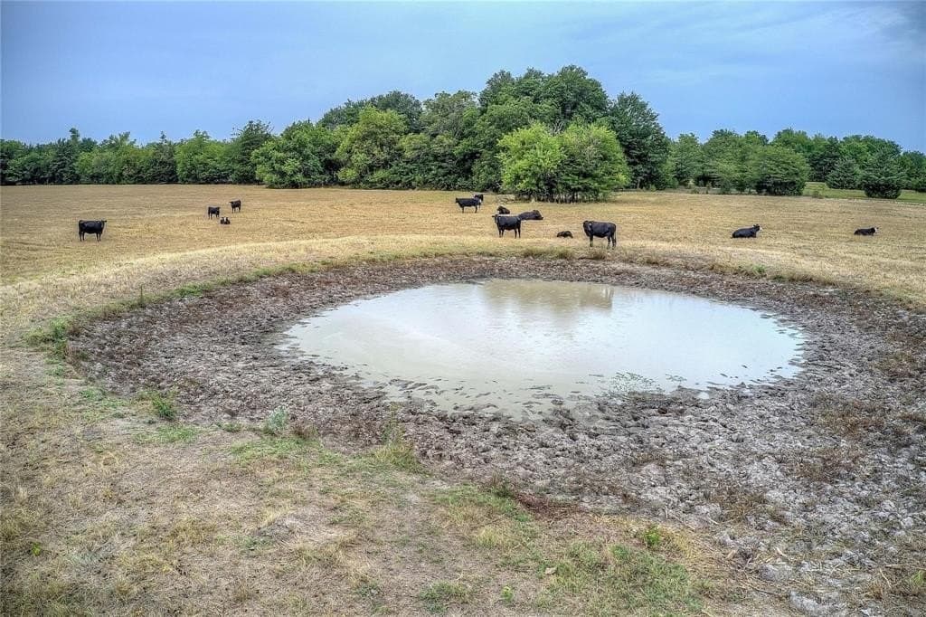 17.5 acres in Hunt County gallery image 2