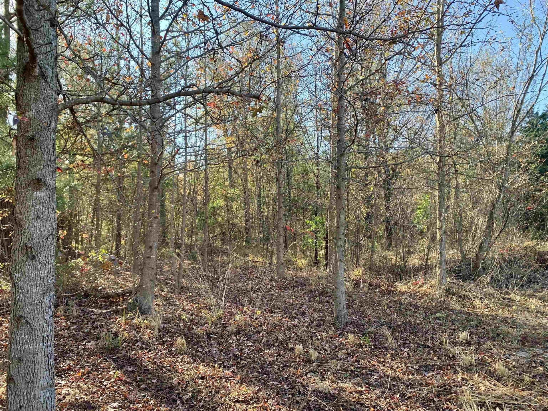 0.23 acres in Marion County