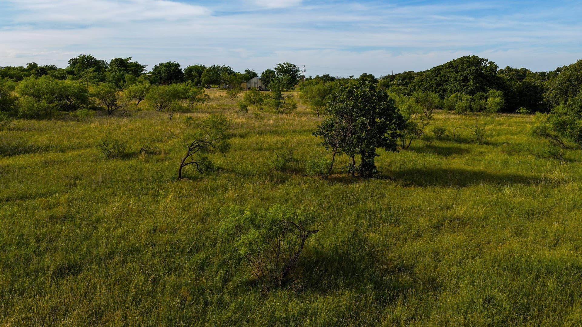 80.3 acres in Montague County - photo 33