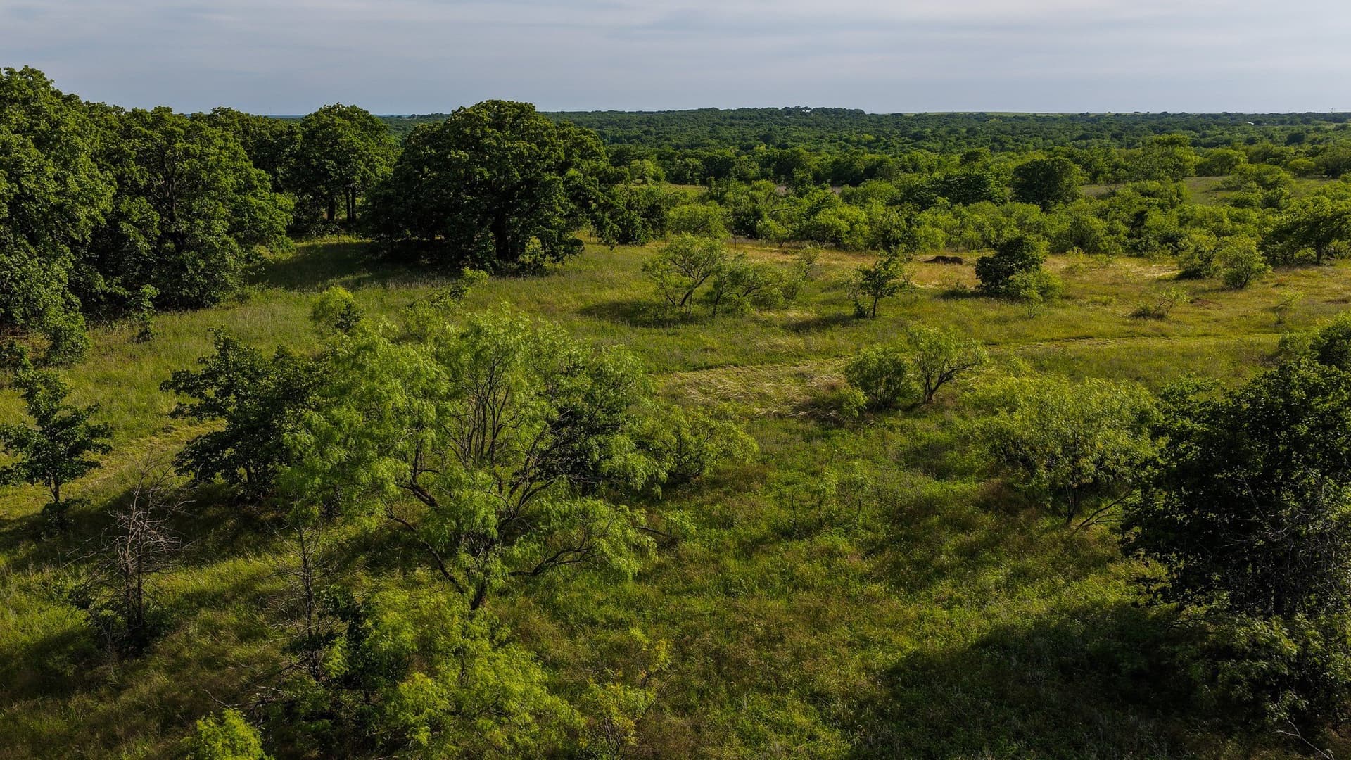 80.3 acres in Montague County - photo 30