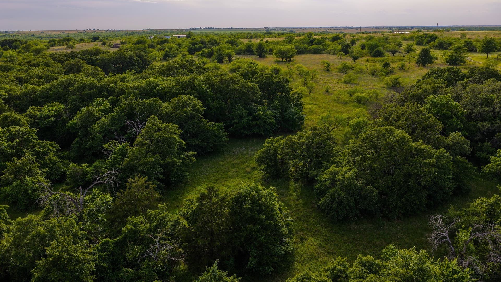 80.3 acres in Montague County - photo 27
