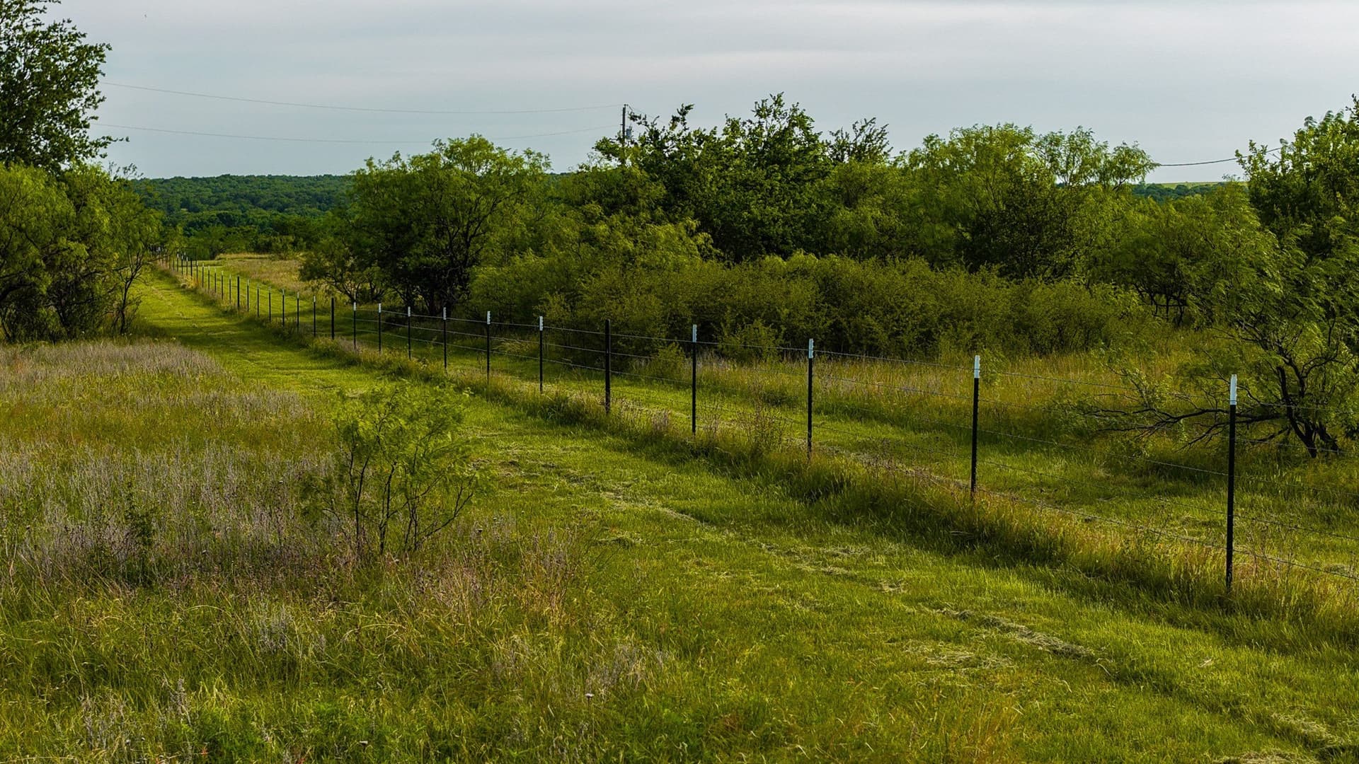 80.3 acres in Montague County gallery image 3