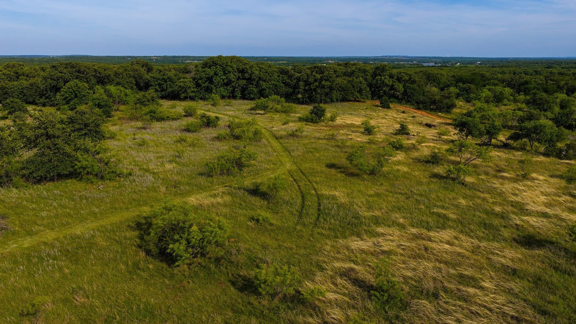 80.3 acres in Montague County - photo 19