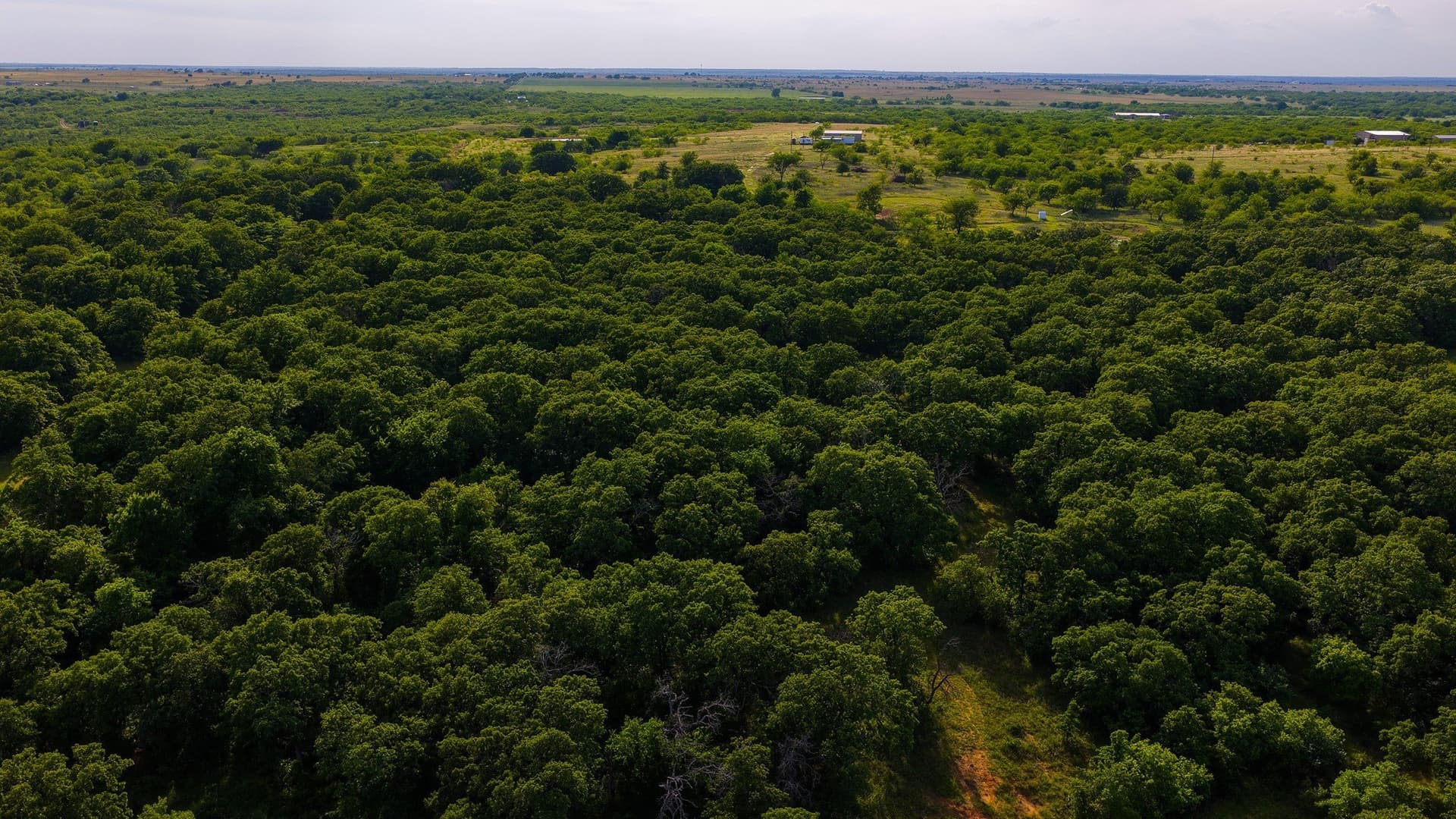 80.3 acres in Montague County - photo 20