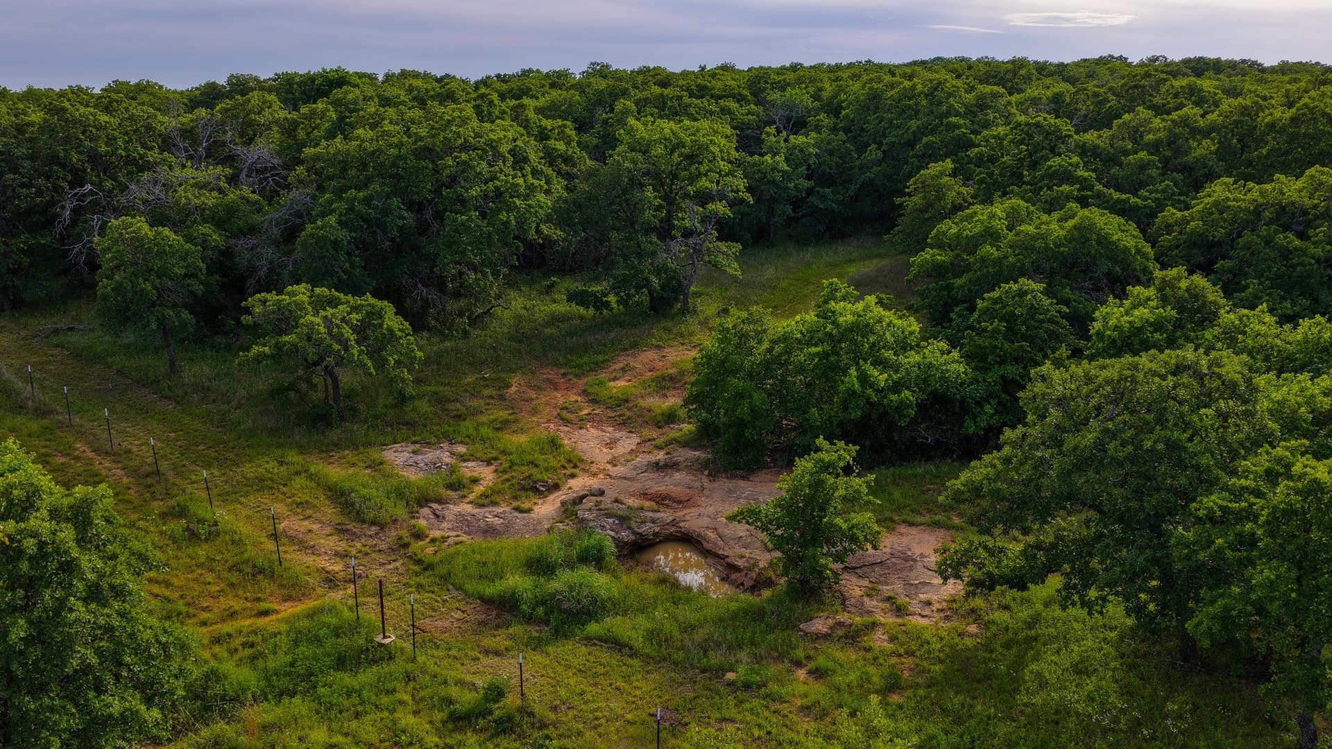80.3 acres in Montague County - photo 15
