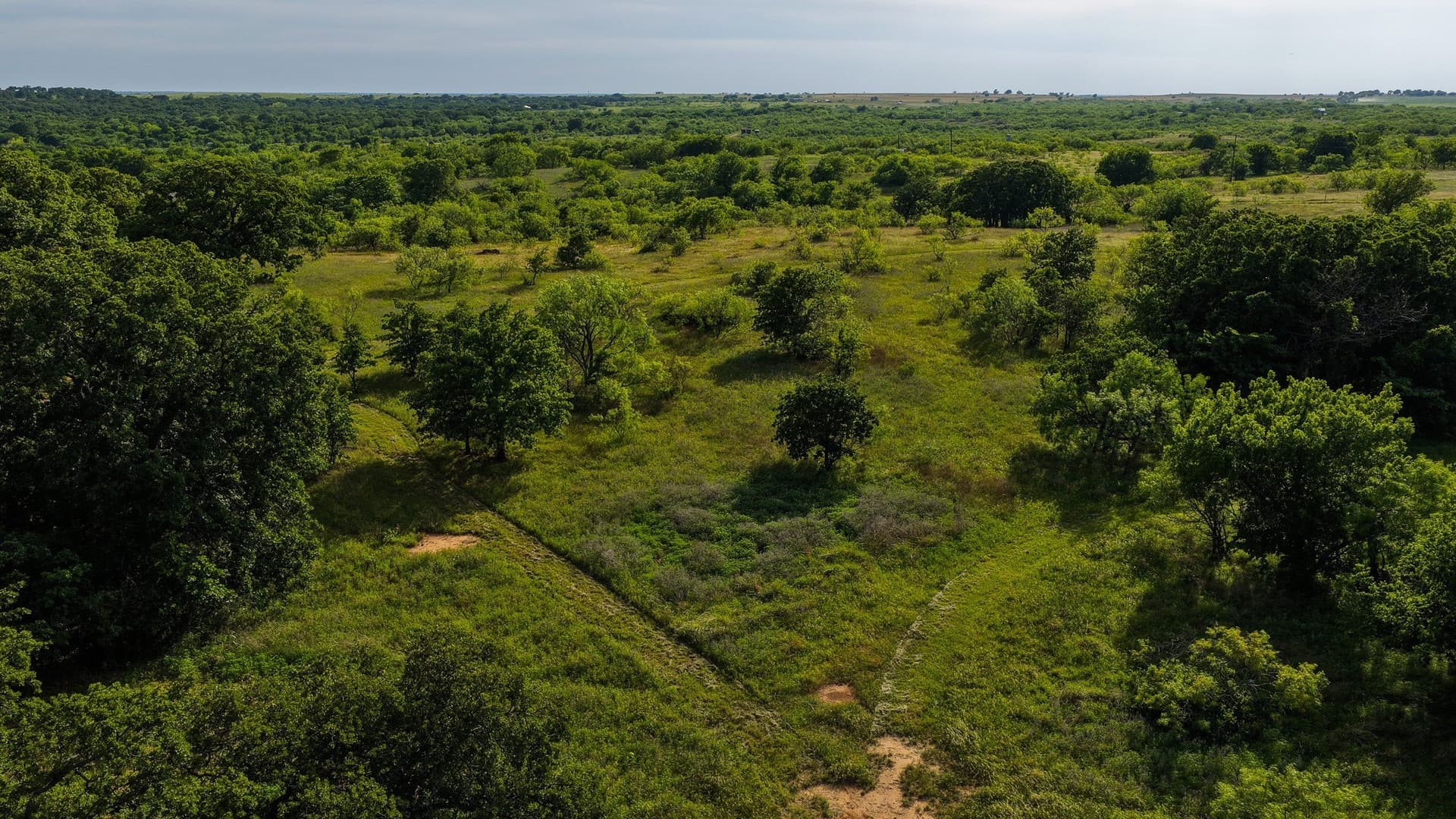 80.3 acres in Montague County - photo 29