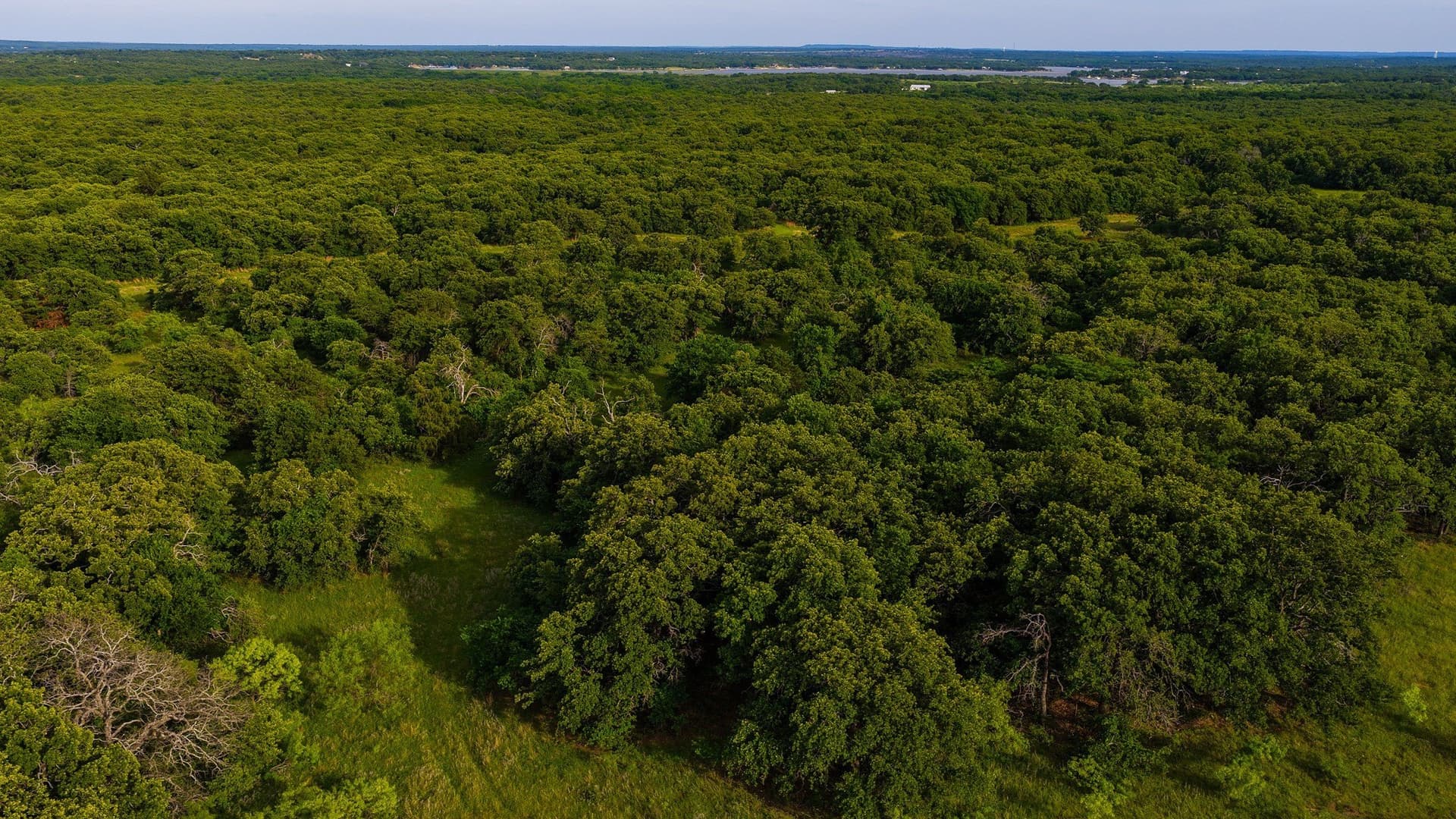 80.3 acres in Montague County - photo 17