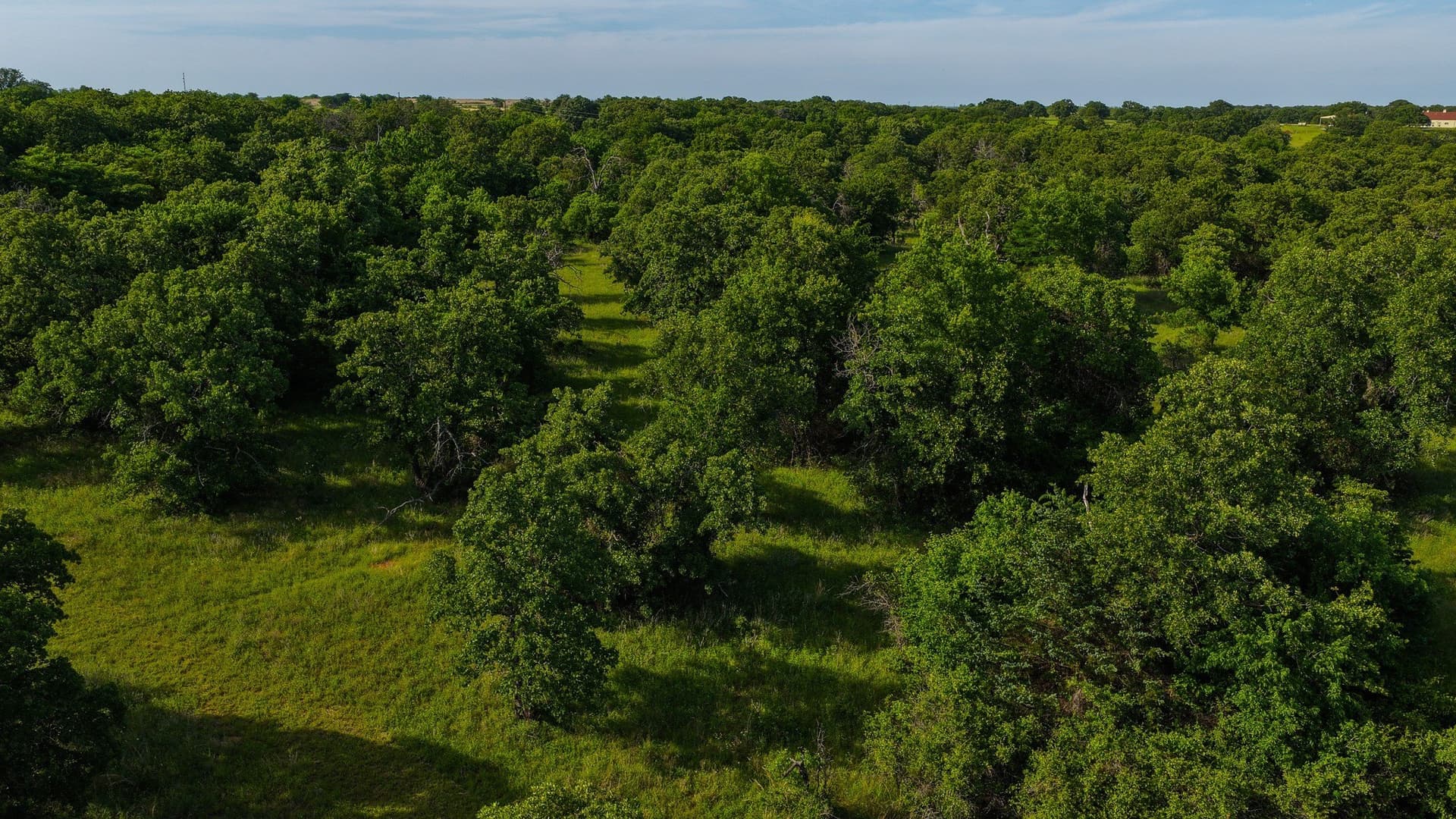 80.3 acres in Montague County - photo 6