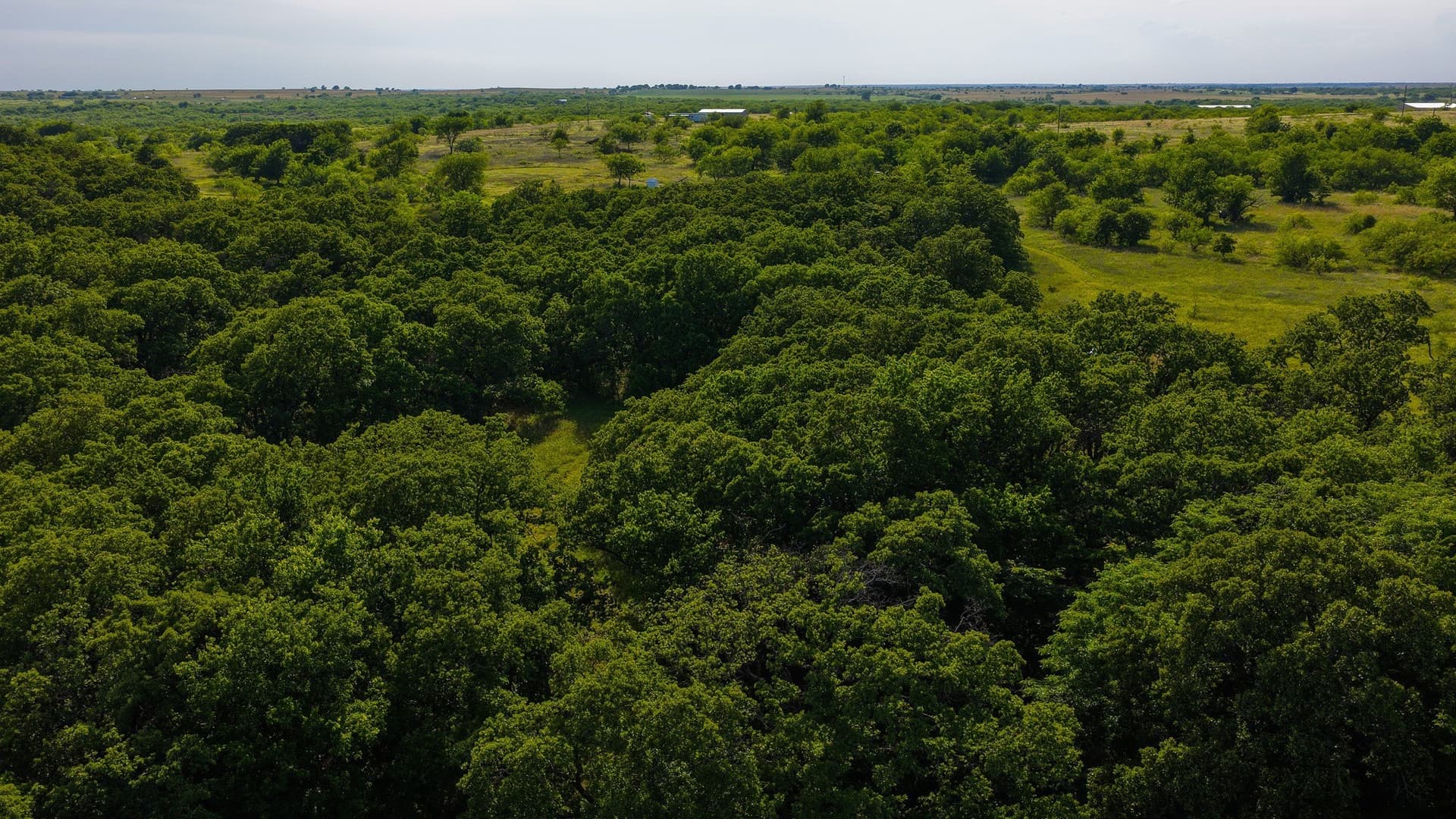 80.3 acres in Montague County - photo 12