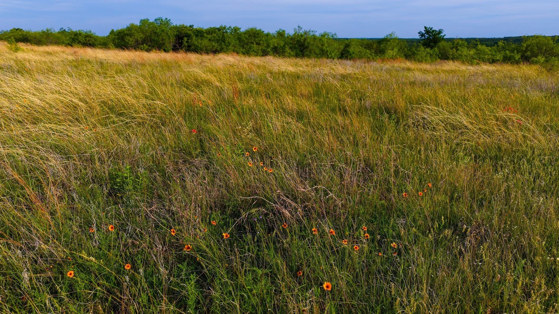 80.3 acres in Montague County - photo 38