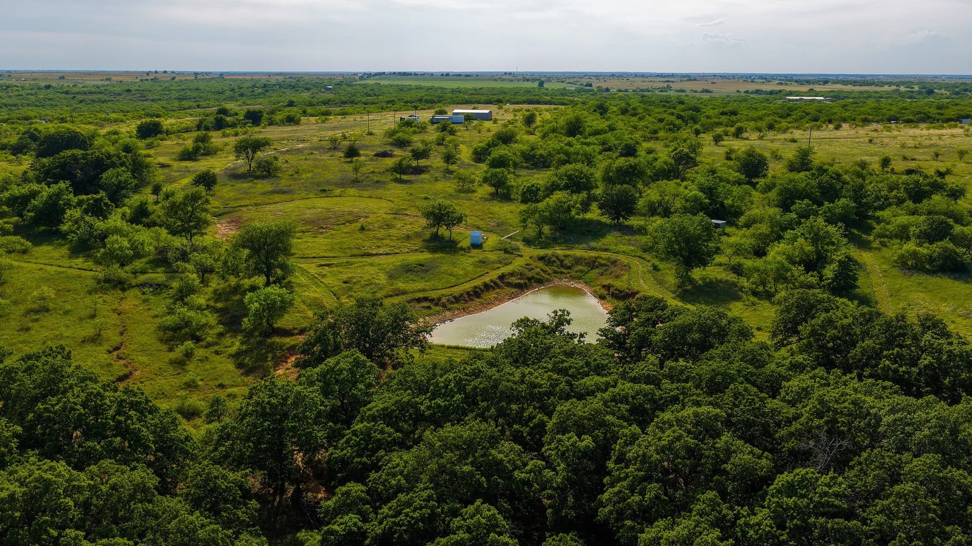 80.3 acres in Montague County gallery image 4