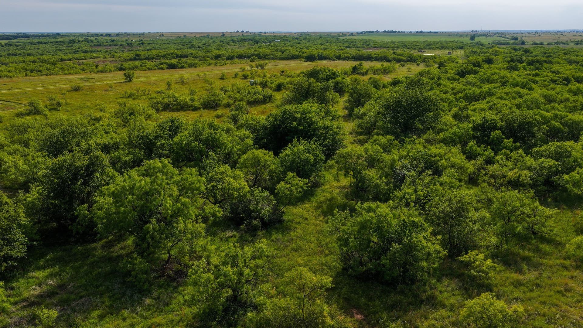 80.3 acres in Montague County - photo 31