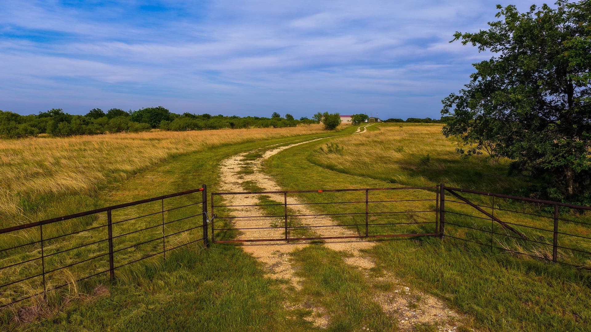 80.3 acres in Montague County - photo 35