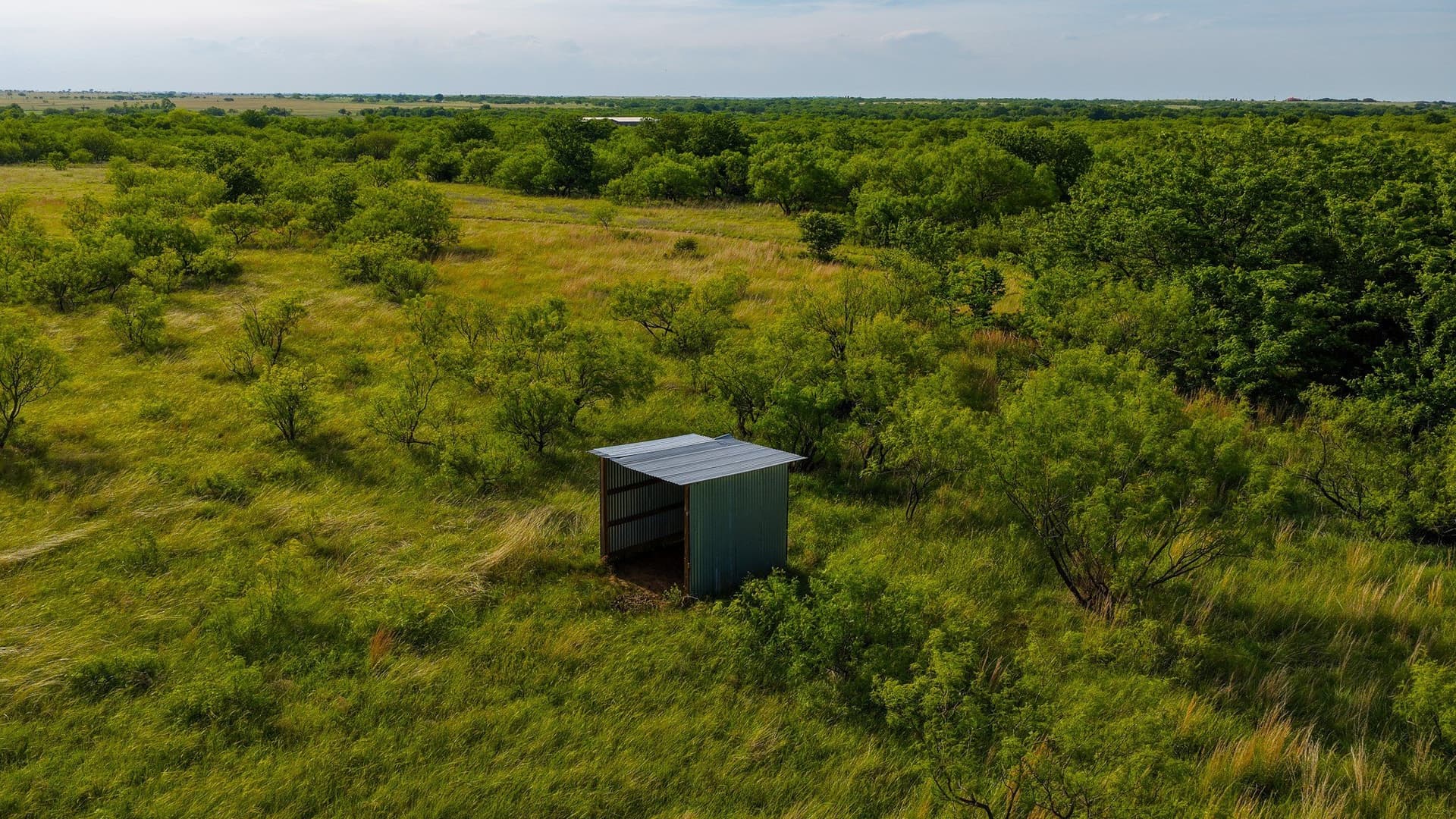 80.3 acres in Montague County - photo 32