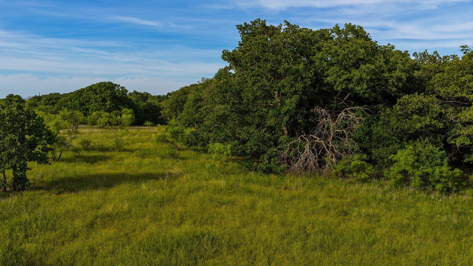 80.3 acres in Montague County - photo 28