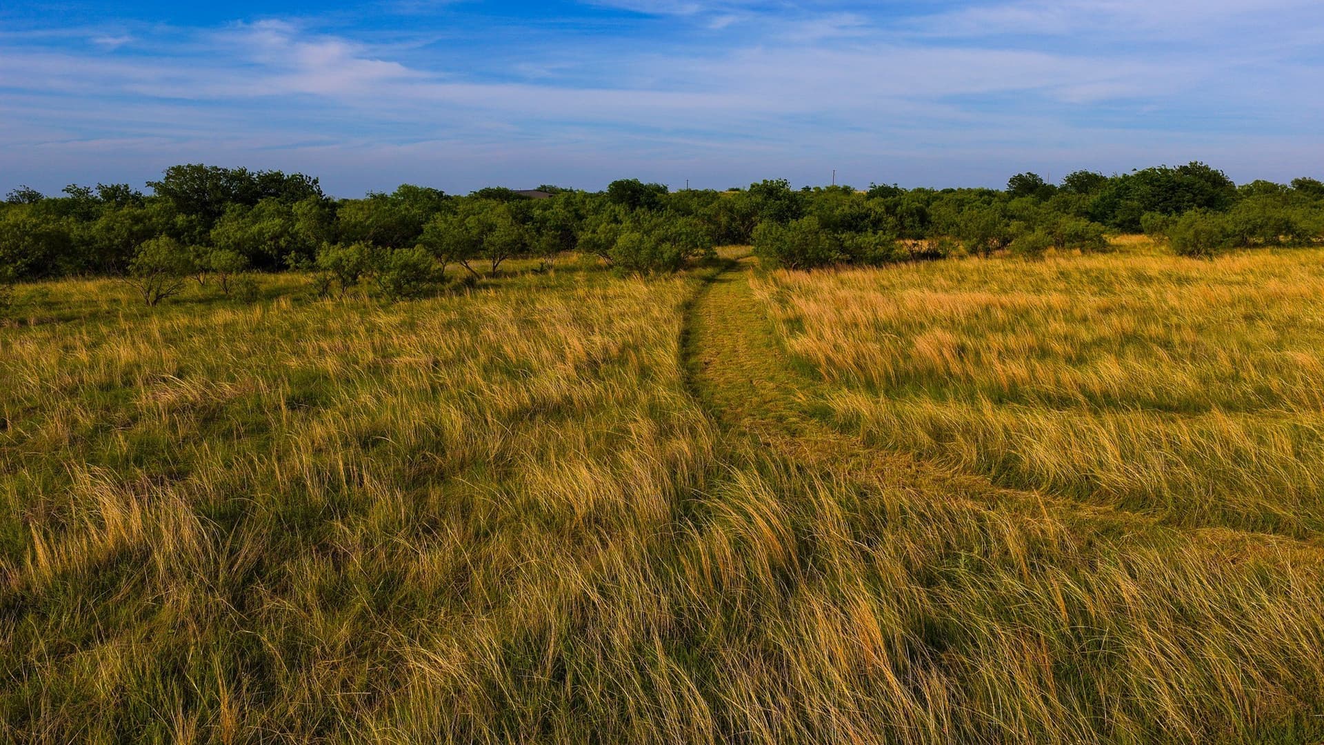 80.3 acres in Montague County - photo 37