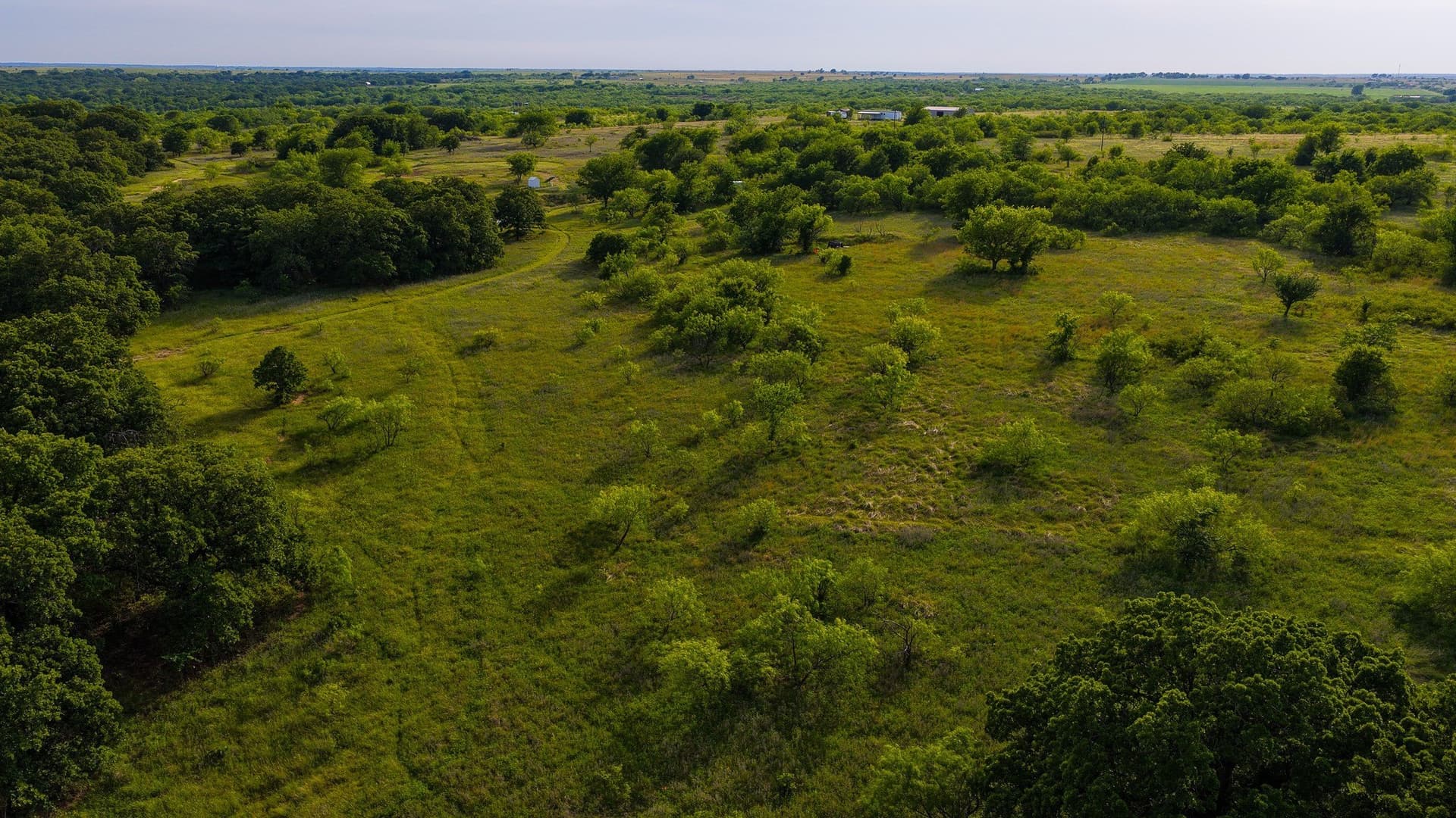 80.3 acres in Montague County - photo 26