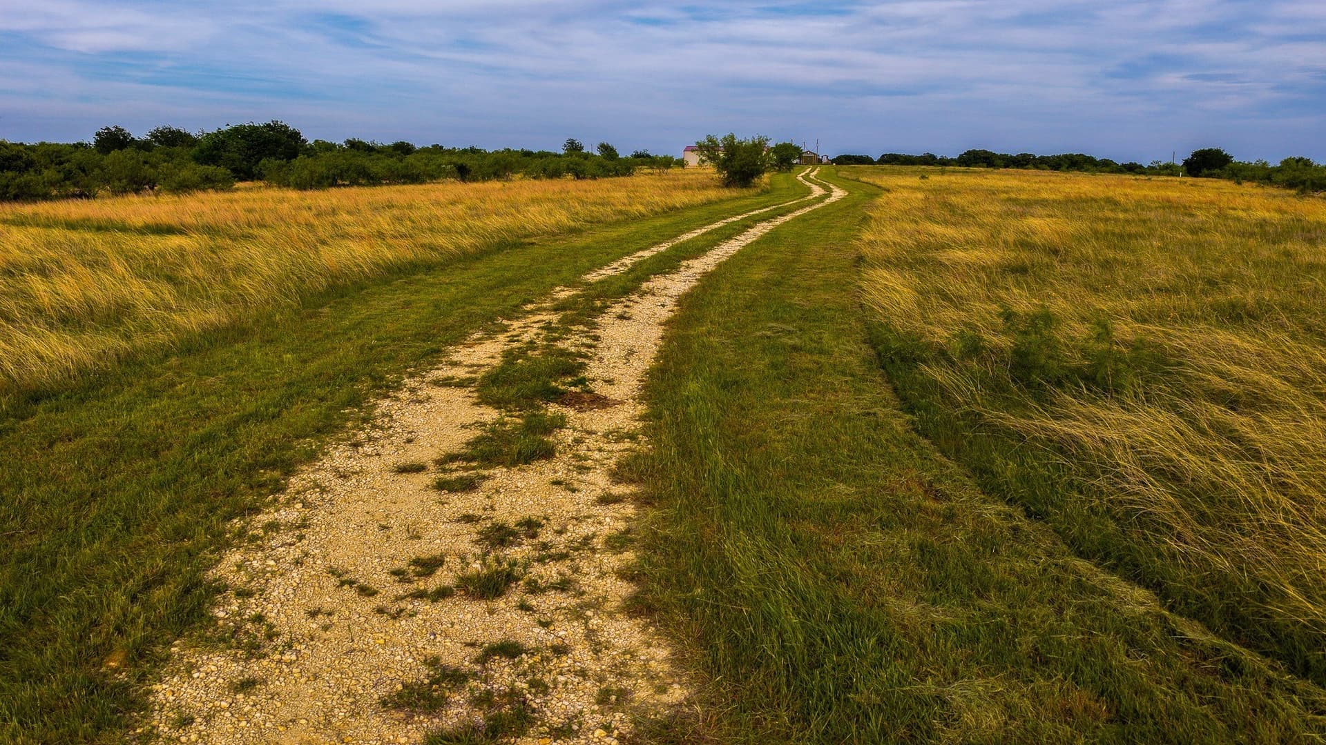 80.3 acres in Montague County - photo 36