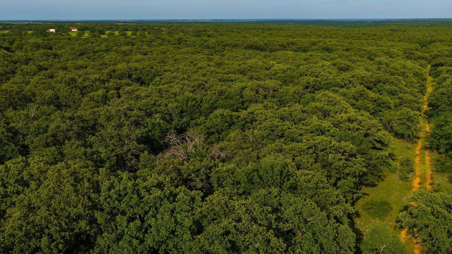 80.3 acres in Montague County - photo 18